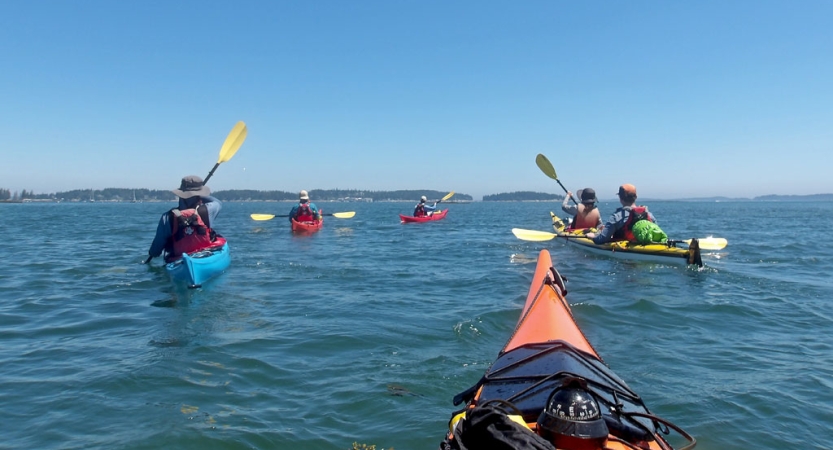 a group of people wearing life jackets sit in colorful kayaks and paddle away from the camera